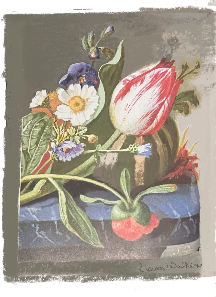001 tulip scaled
